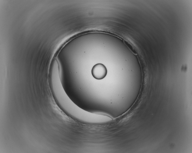 X0000110690940200906261340