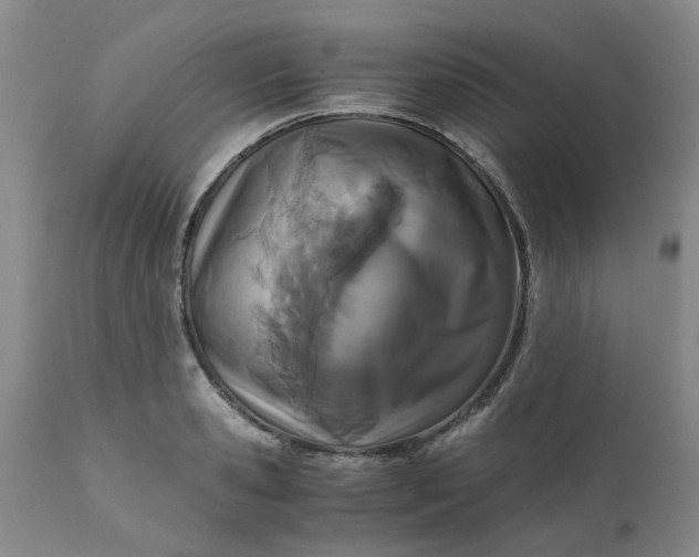 X0000110690941200906261340