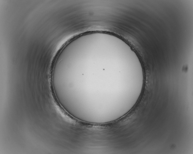 X0000110690942200906261340