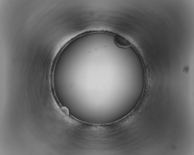 X0000110690943200906261340