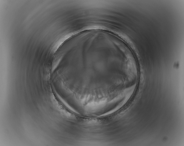 X0000110690945200906261341