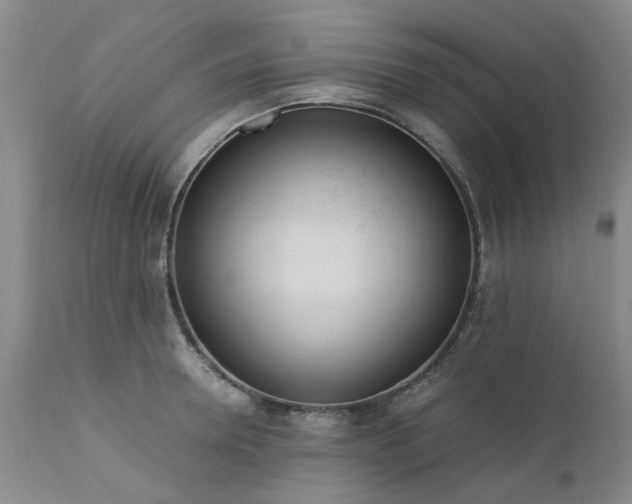 X0000110690946200906261341