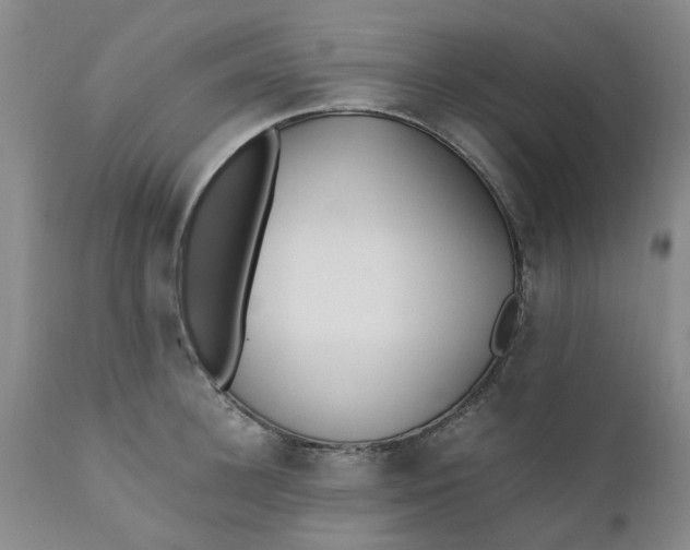 X0000110690948200906261341