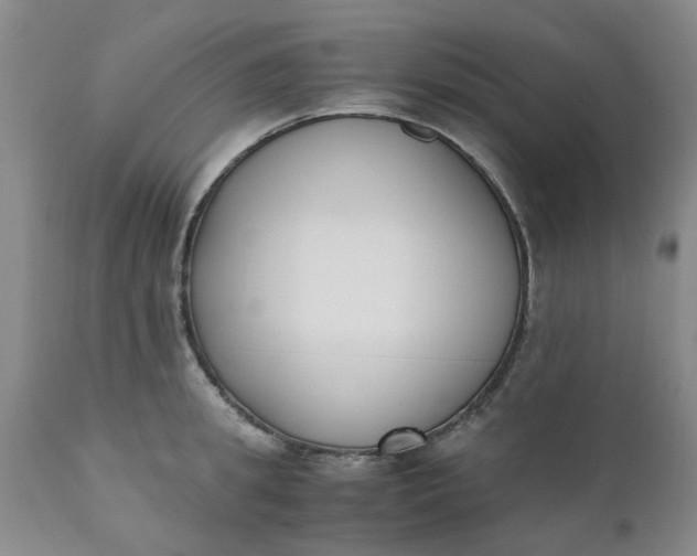 X0000110690949200906261341