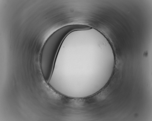 X0000110690952200906261341