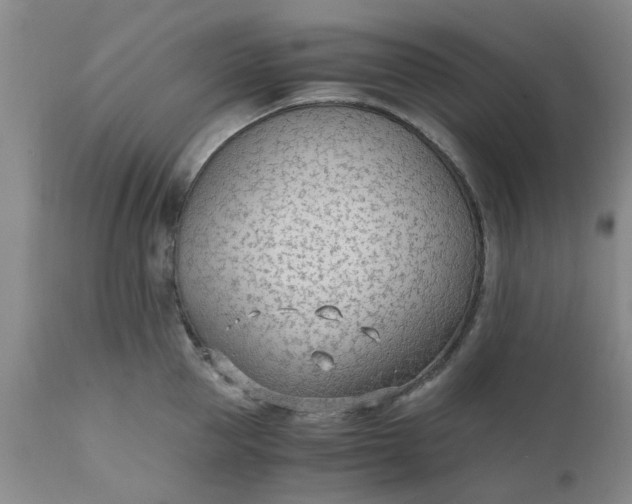 X0000110690953200906261341