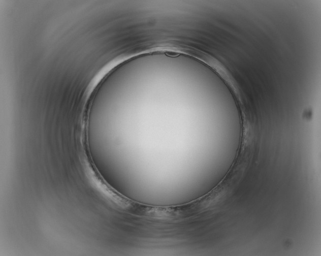 X0000110690955200906261341