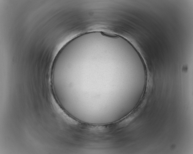 X0000110690957200906261341