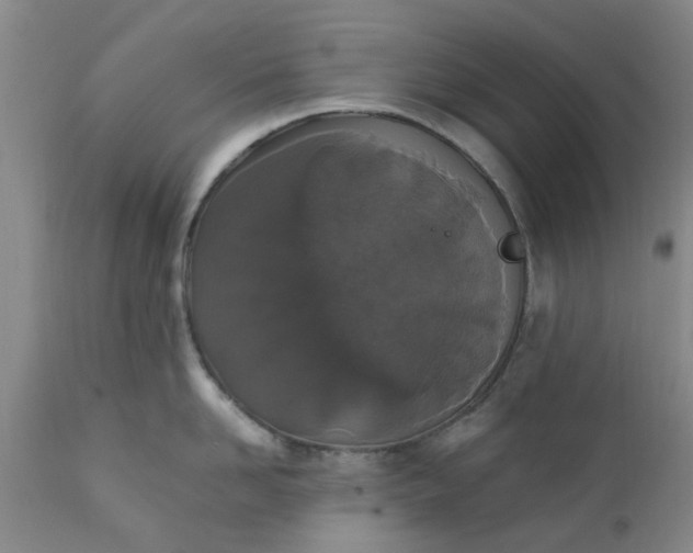 X0000110690958200906261341