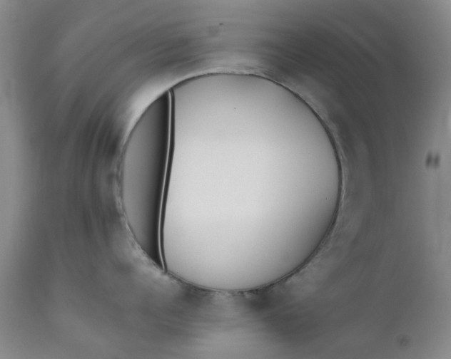 X0000110690960200906261341