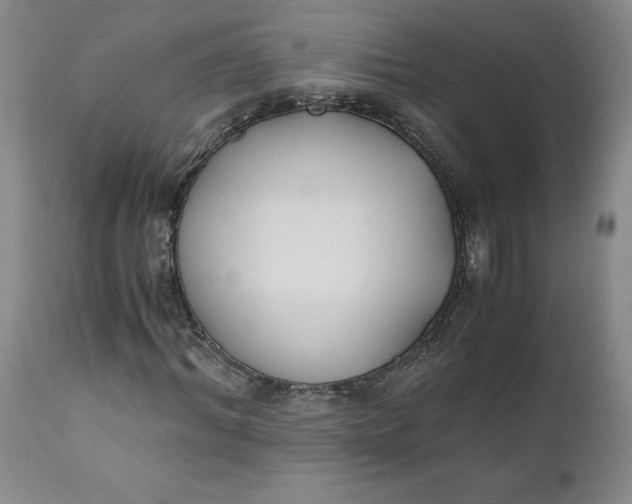 X0000110690964200906261340