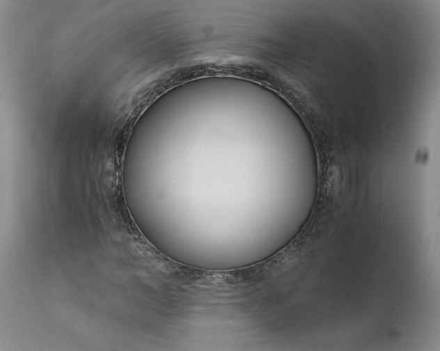 X0000110690966200906261340