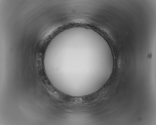 X0000110690968200906261340