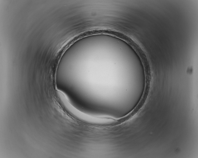 X0000110690969200906261340