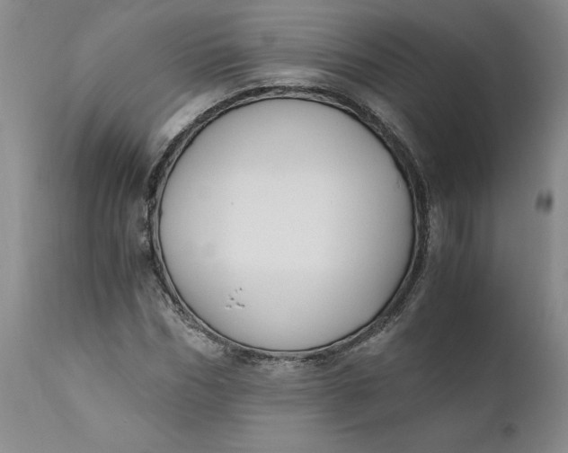 X0000110690970200906261340