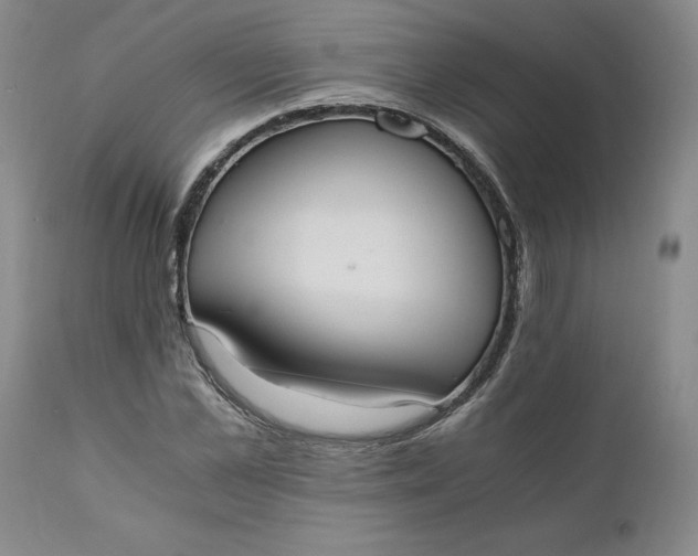 X0000110690973200906261340