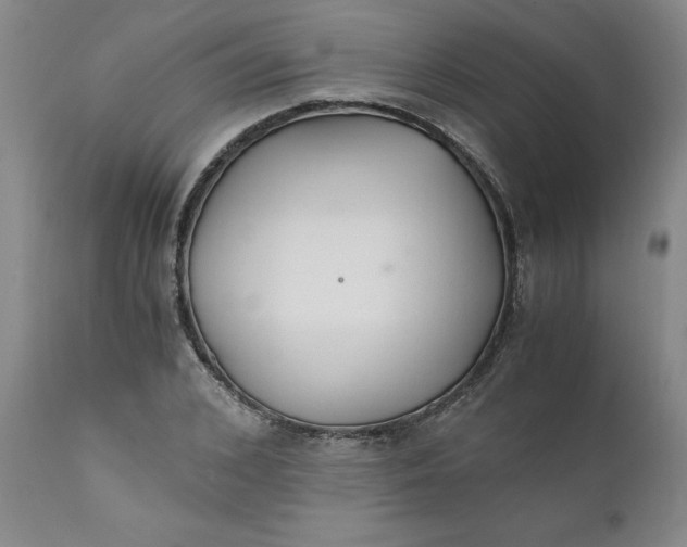 X0000110690976200906261340