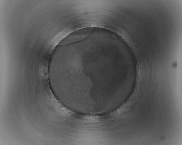 X0000110690977200906261340