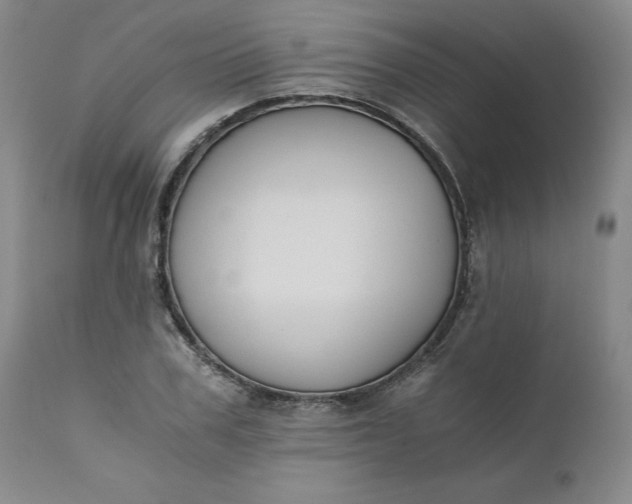 X0000110690979200906261340