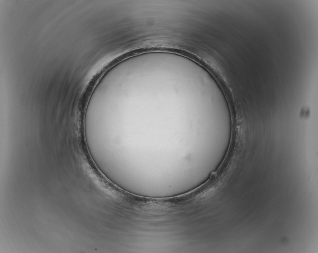 X0000110690981200906261340