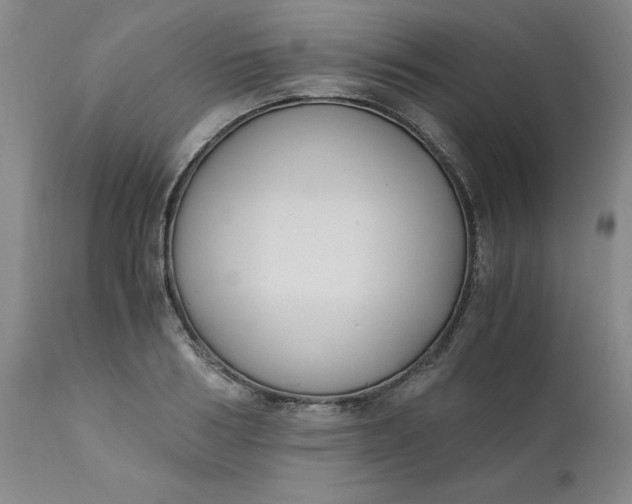 X0000110690986200906261340