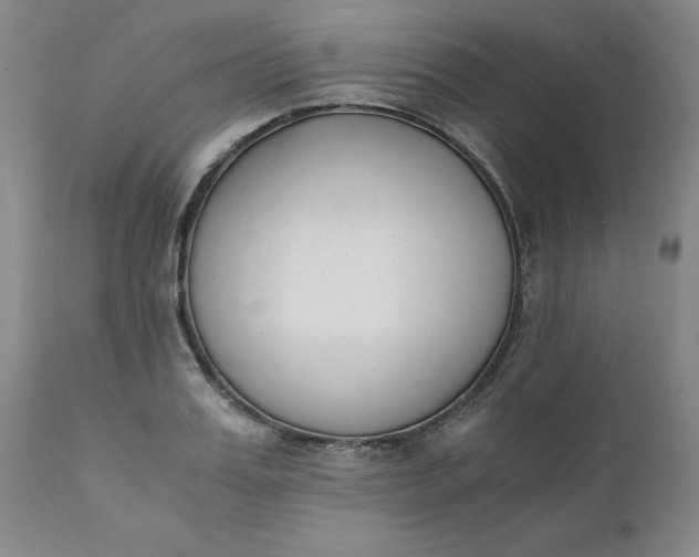 X0000110690987200906261340