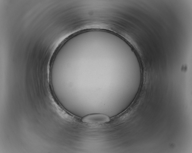 X0000110690988200906261340