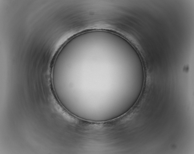 X0000110690990200906261340