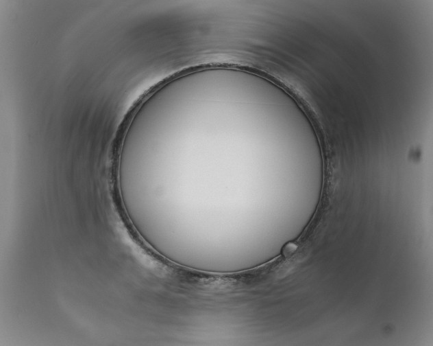 X0000110690991200906261340