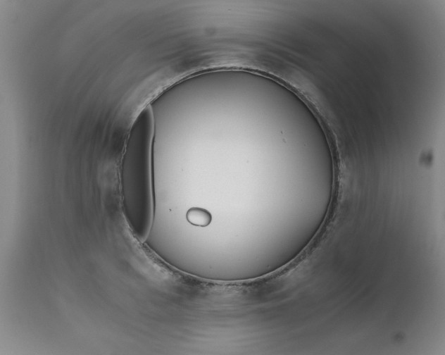 X0000110690993200906261340