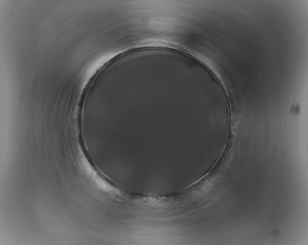 X0000110690995200906261340