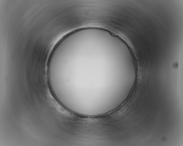 X0000110690996200906261340