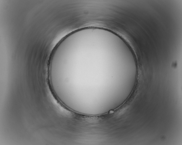 X0000110690999200906261340