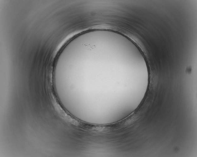 X0000110691000200906261340