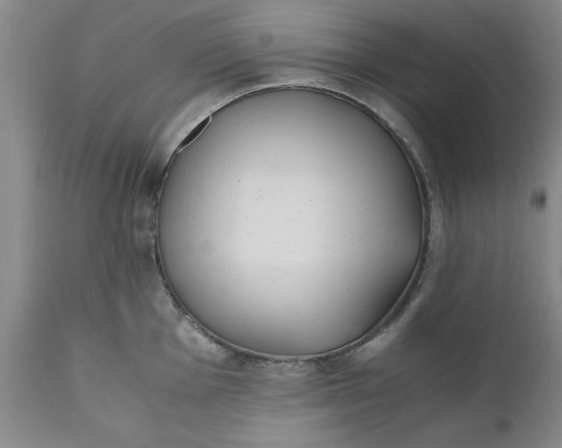 X0000110691001200906261340