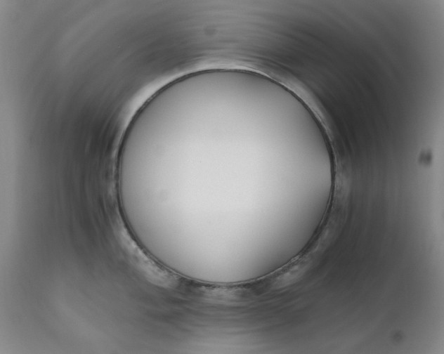 X0000110691004200906261339