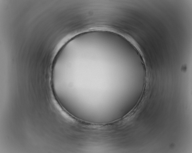 X0000110691005200906261339