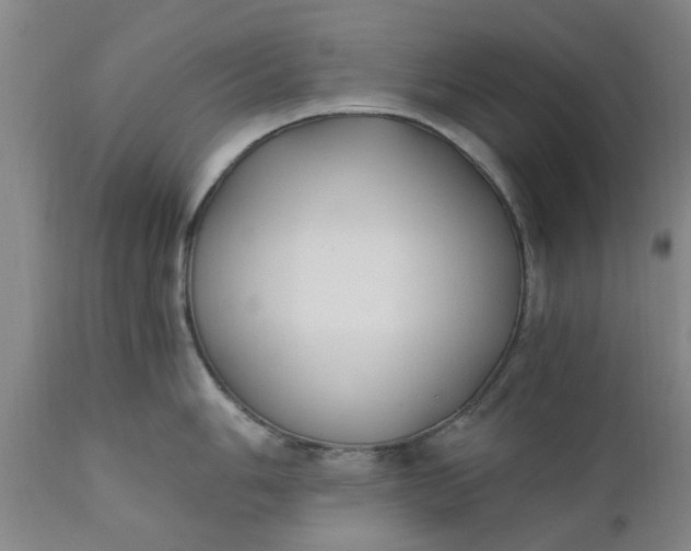 X0000110691006200906261339