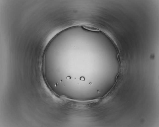 X0000110691007200906261339