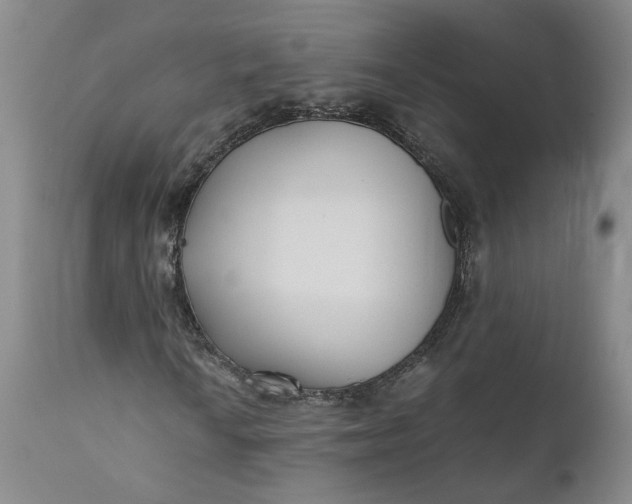 X0000110691010200906261339