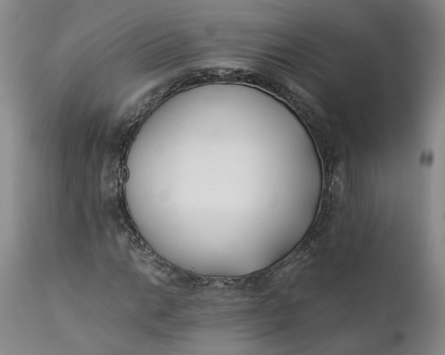 X0000110691014200906261339