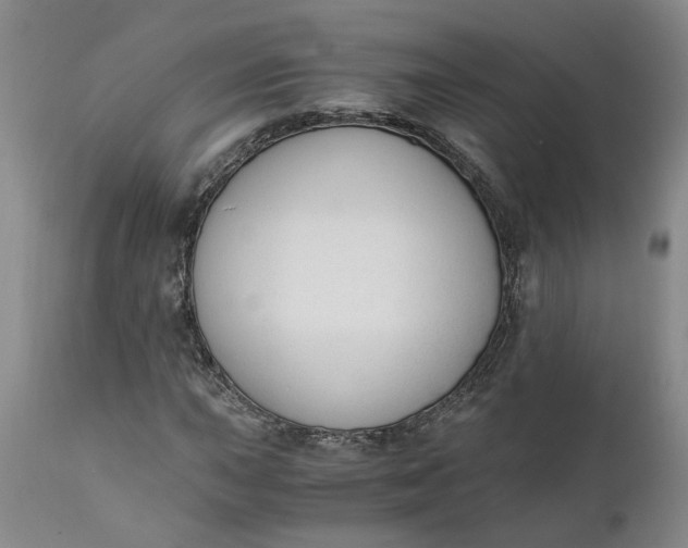 X0000110691015200906261339