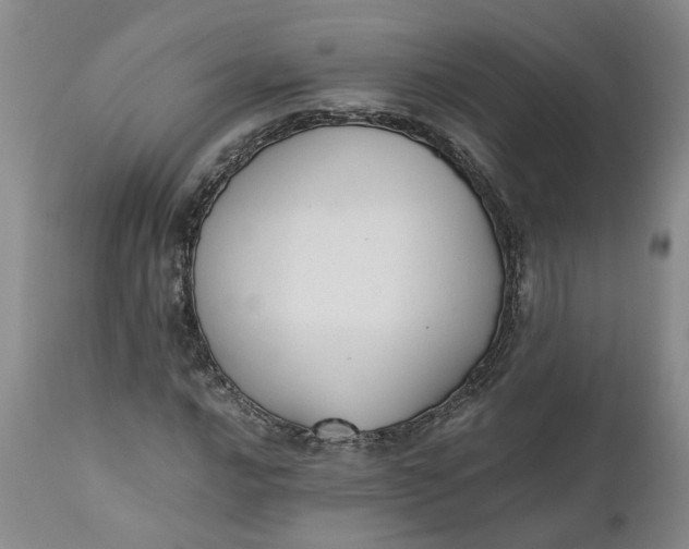 X0000110691016200906261339