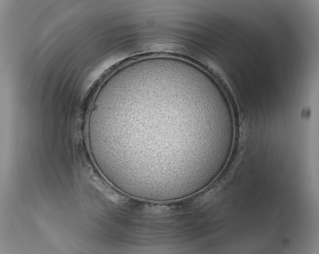 X0000110691019200906261339