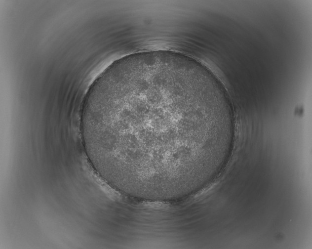 X0000110691023200906261339