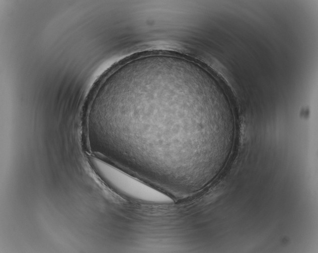 X0000110691024200906261339