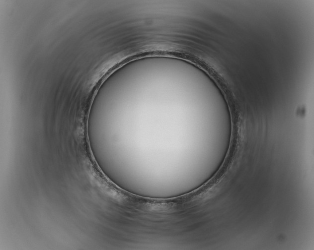 X0000110691025200906261339