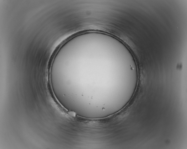 X0000110691028200906261339