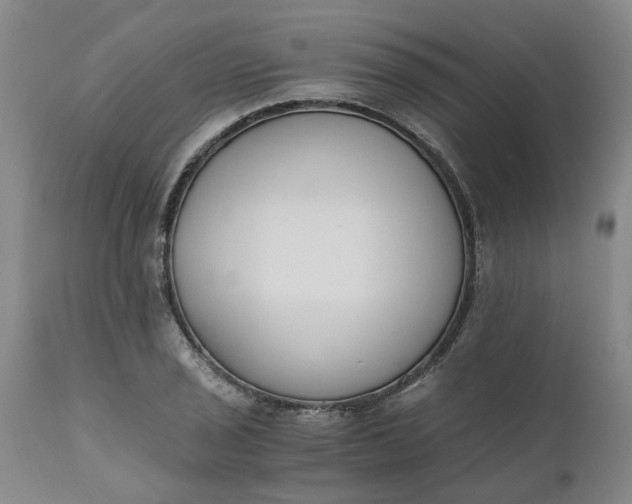 X0000110691029200906261339