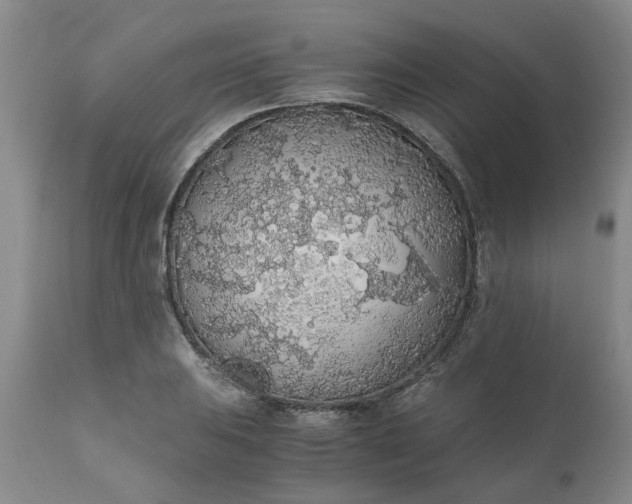 X0000110691031200906261339